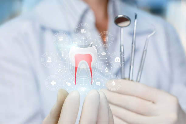 Best Dental Exams and Cleanings  in USA